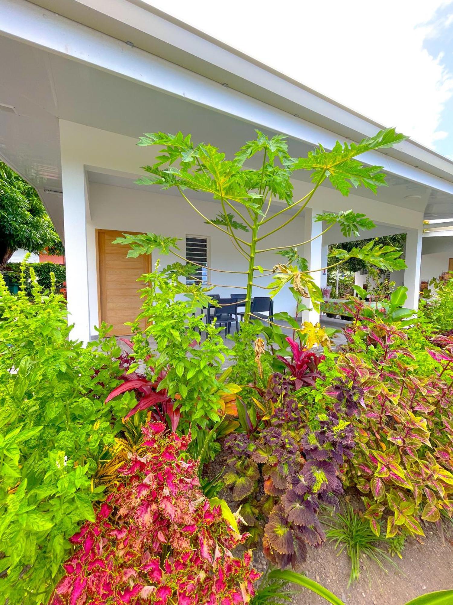 Pare Lodge Tahiti Pirae Exterior foto